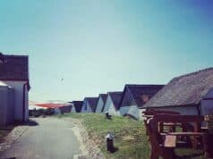 Palkonyai Pincesor – Időutazás a Villányi-hegység északkeleti oldalán