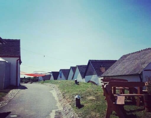 Palkonyai Pincesor – Időutazás a Villányi-hegység északkeleti oldalán