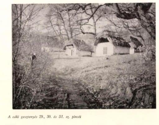 A műemlékvédelem alatt álló cáki pincesor története