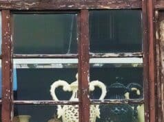 Szent István mellszobor (Pécs-Budapest)