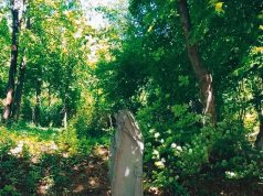 Mecseknádasd titokzatos várának a története – avagy a „Rékavár” legendája