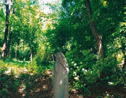 Mecseknádasd titokzatos várának a története – avagy a „Rékavár” legendája