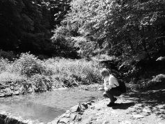 A hajnalfény útján 1-2. alternatív befejezései – avagy 2 évesek lettek a kisregényeim