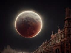 „Az Utazó” emlékére – Zsolnay Miklós #165.